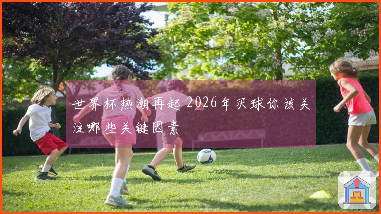 世界杯热潮再起 2026年买球你该关注哪些关键因素
