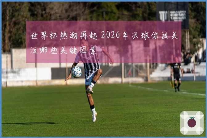 世界杯热潮再起 2026年买球你该关注哪些关键因素