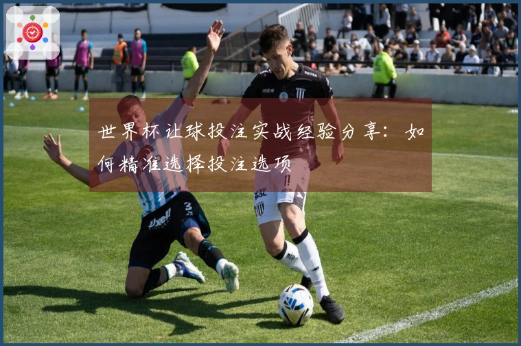 世界杯让球投注实战经验分享：如何精准选择投注选项