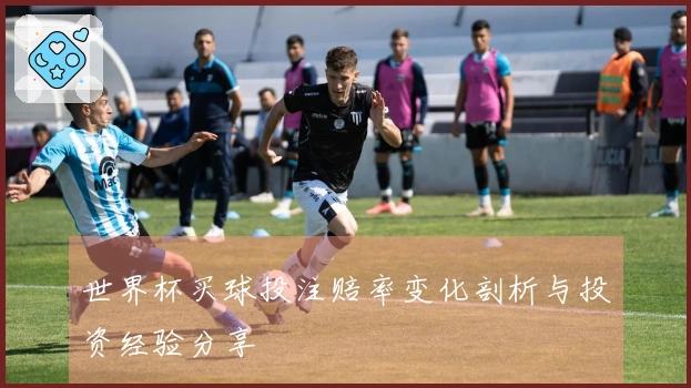 世界杯买球投注赔率变化剖析与投资经验分享